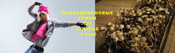 спайс Абинск