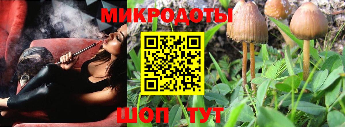 Псилоцибиновые грибы Cubensis Ивантеевка